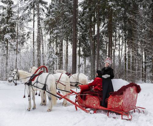 Зимняя сказка