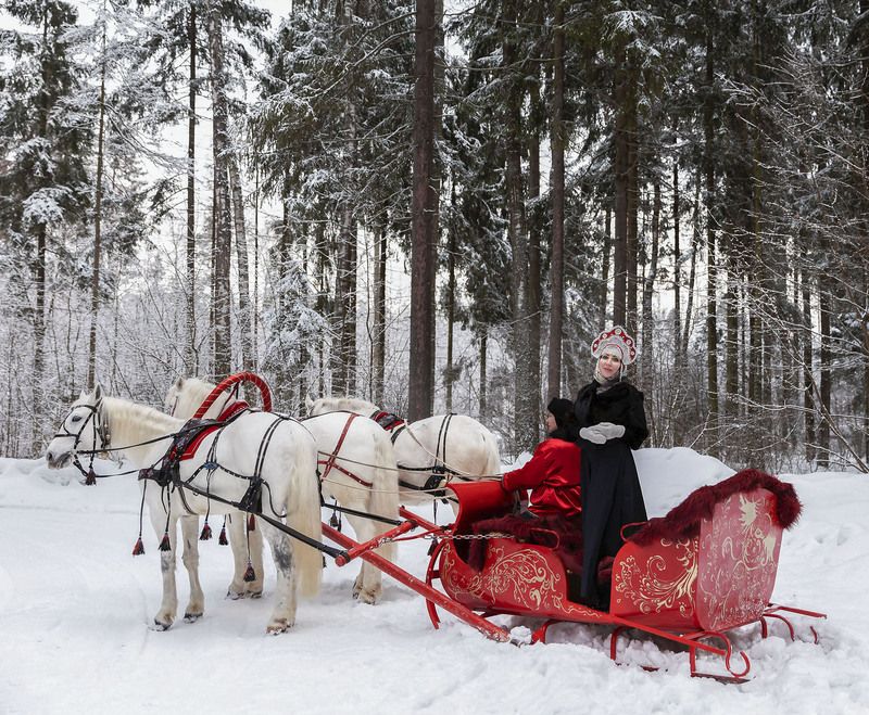 русская тройка,фотосессия , русский стиль ,прогулка, сани, зима, лес, horses,girl, forest, winter, nature Зимняя сказка фото превью
