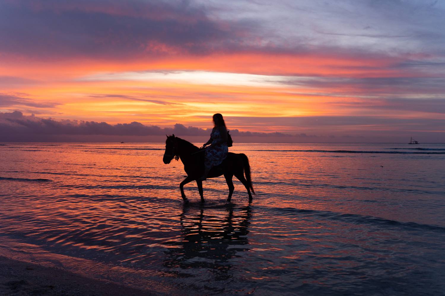 закат, лошадь, девушка, Светлана Зимина