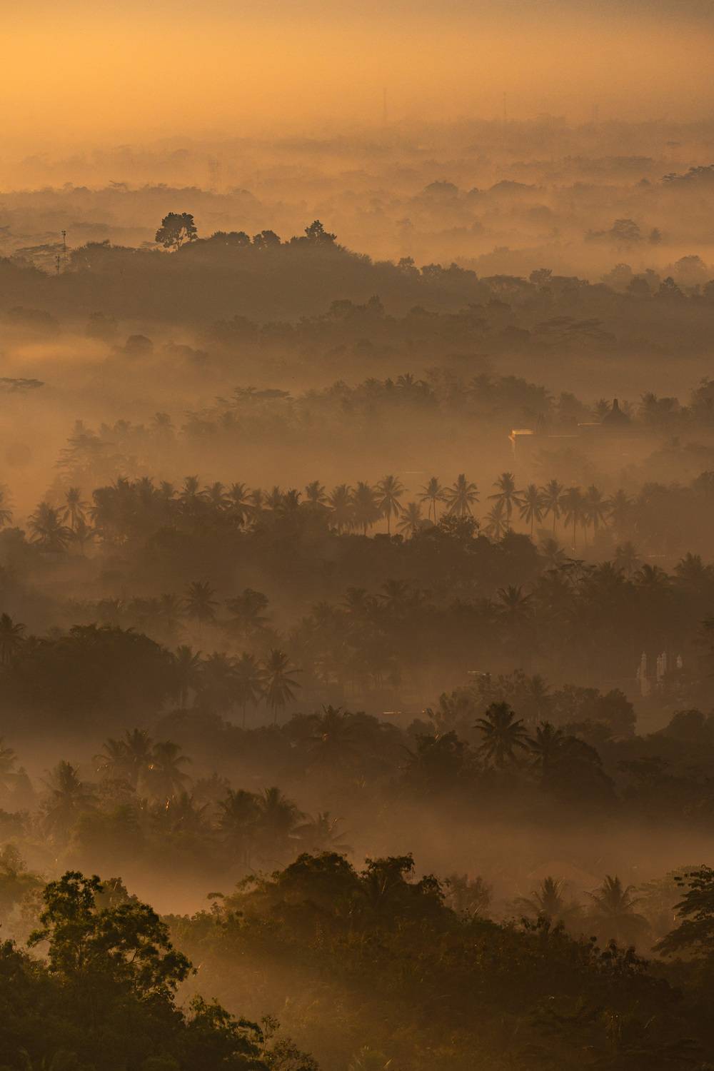Ява, Боробудур, Светлана Зимина