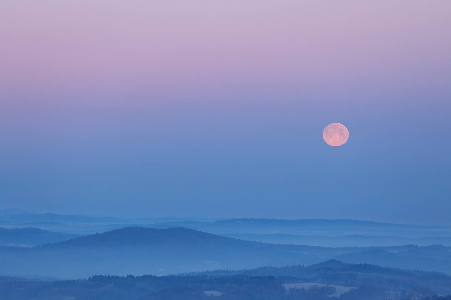 ,  Mirosław Pruchnicki