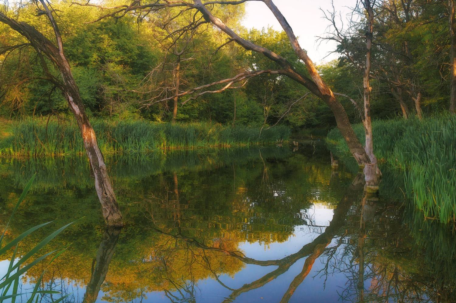 , Лысенко Сергей