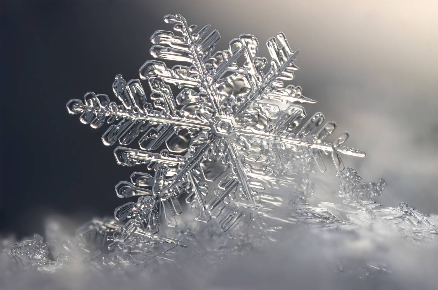 , Вячеслав Мельников