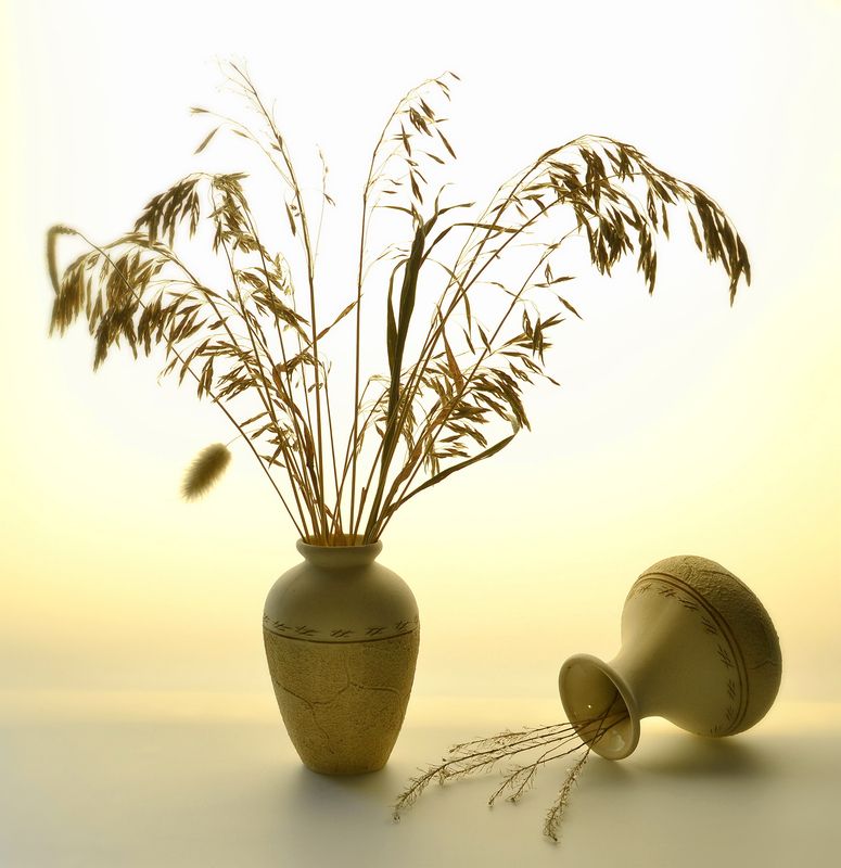 натюрморт,композиция,свет,цвет,букет *** фото превью