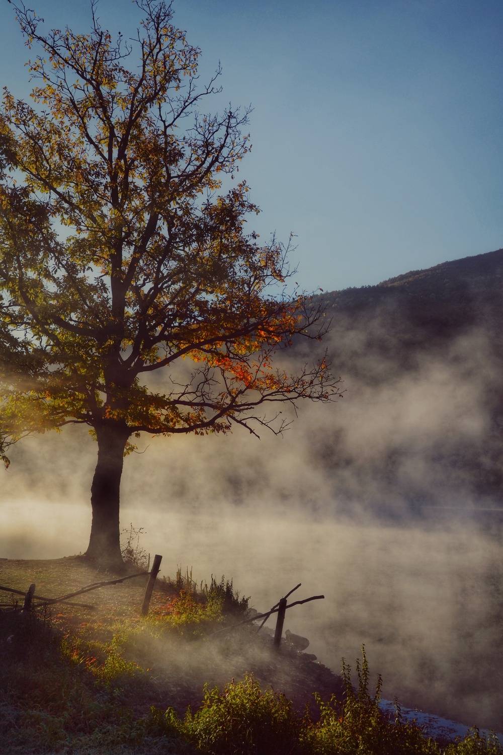 , Юлияна Стоянова