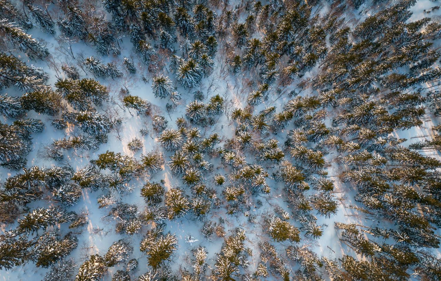 , Артем Удодов