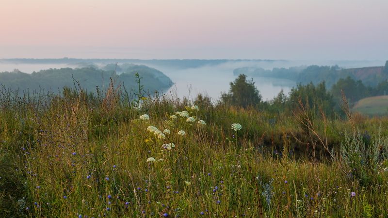 Туман на реке фото превью
