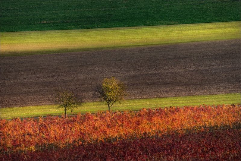чехия, южная моравия, линии, свет, czech, south moravia, фототур, фототуры Цветные грани тишины .. фото превью