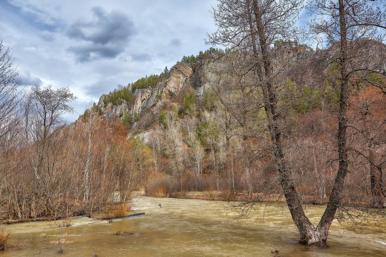 , Никитин Алексей