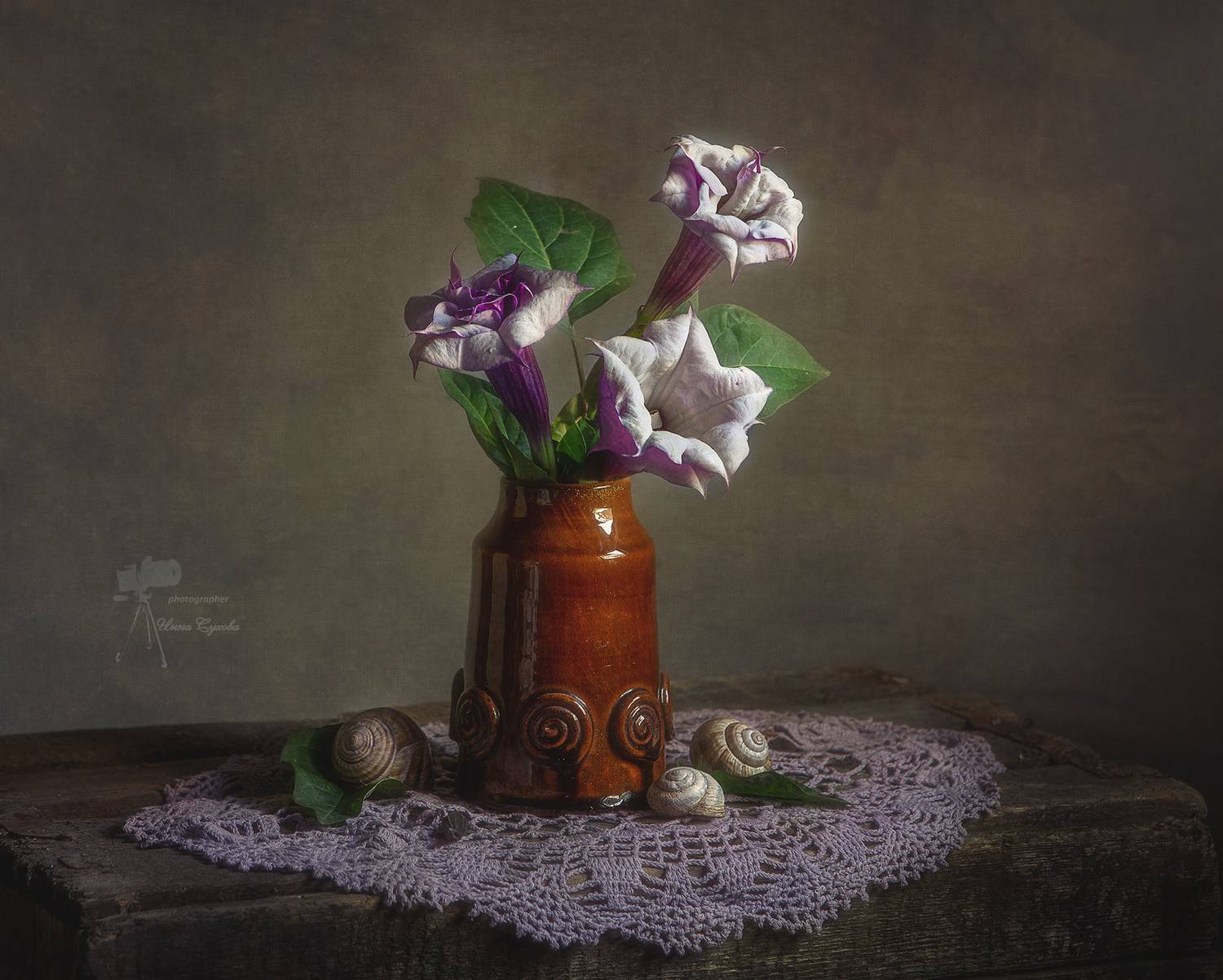 , Инна Сухова