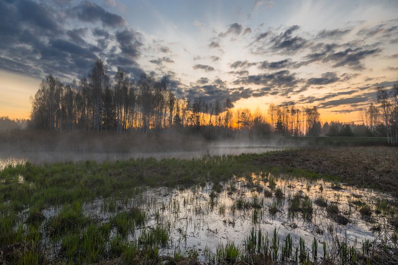 *** фото превью