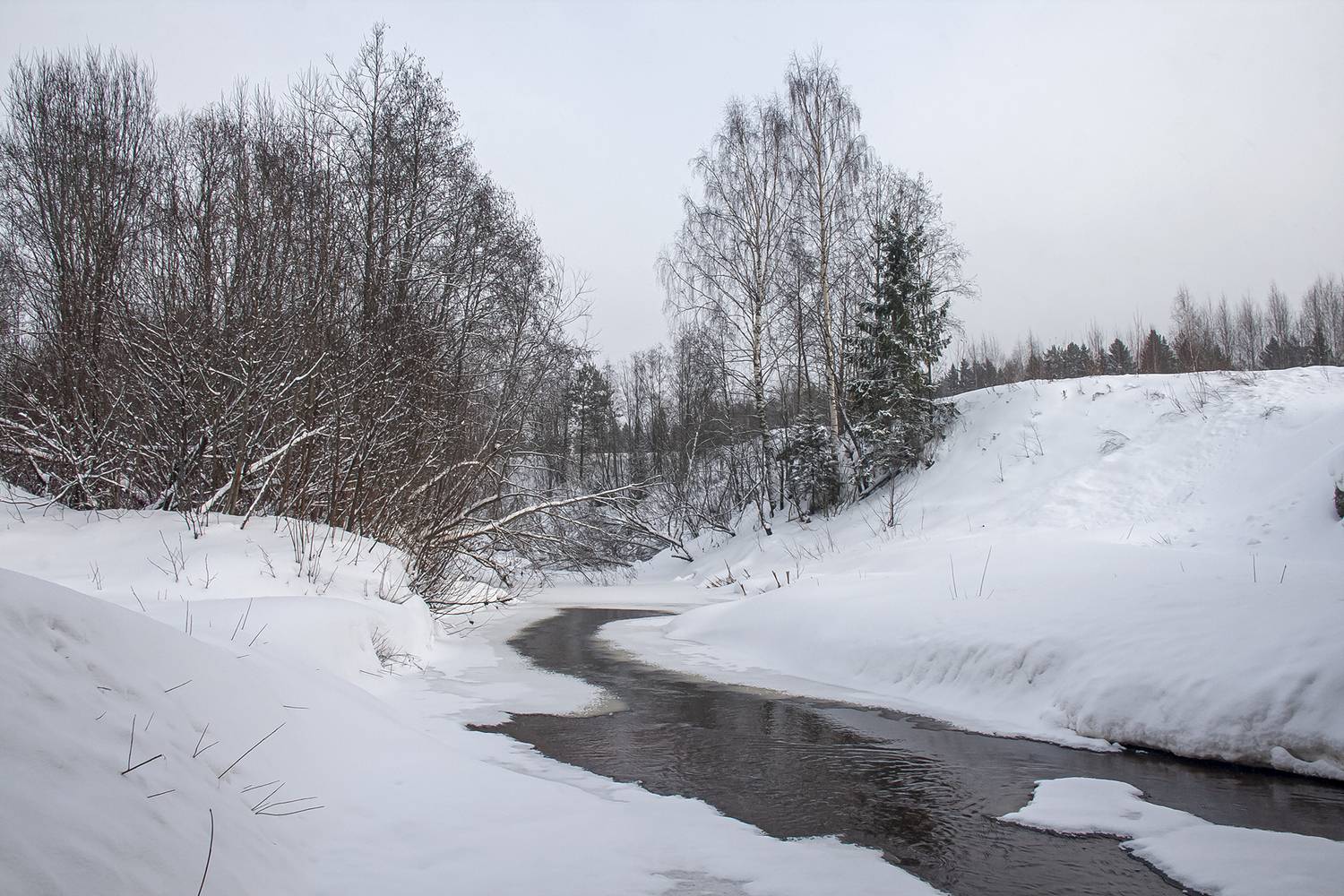 речка, зима, снег, день, лес, кустарник, берег, сугроб., Анкудинов Леонид