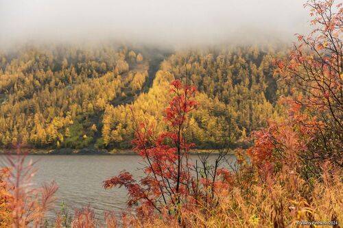 Неумолимая северная осень
