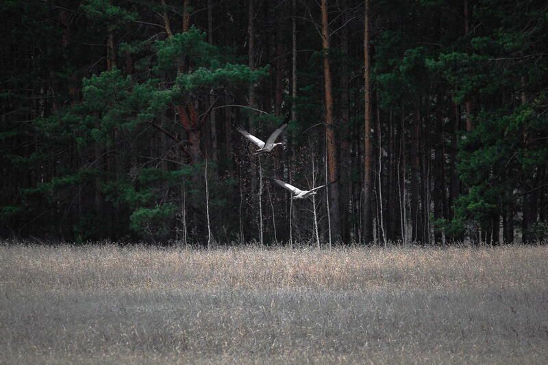 Апрель фото превью