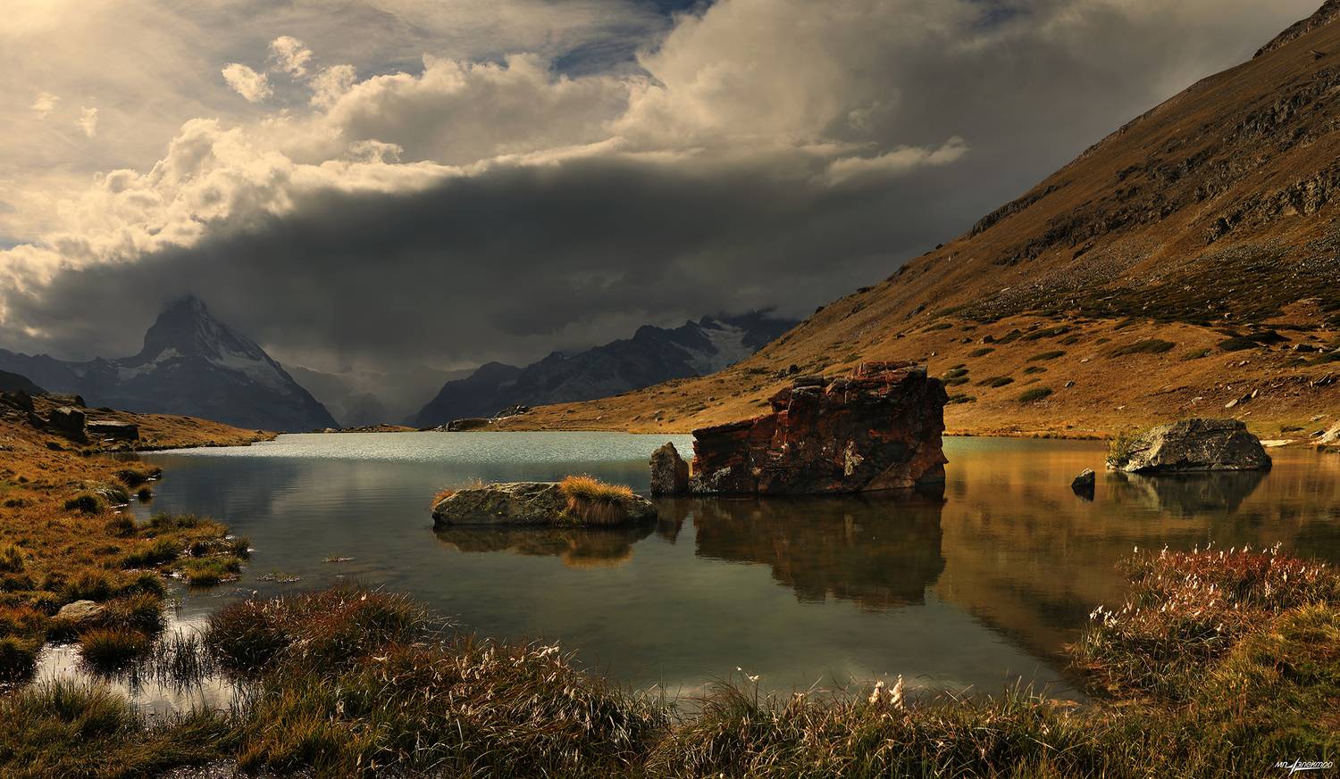swiss, Матвеев Николай