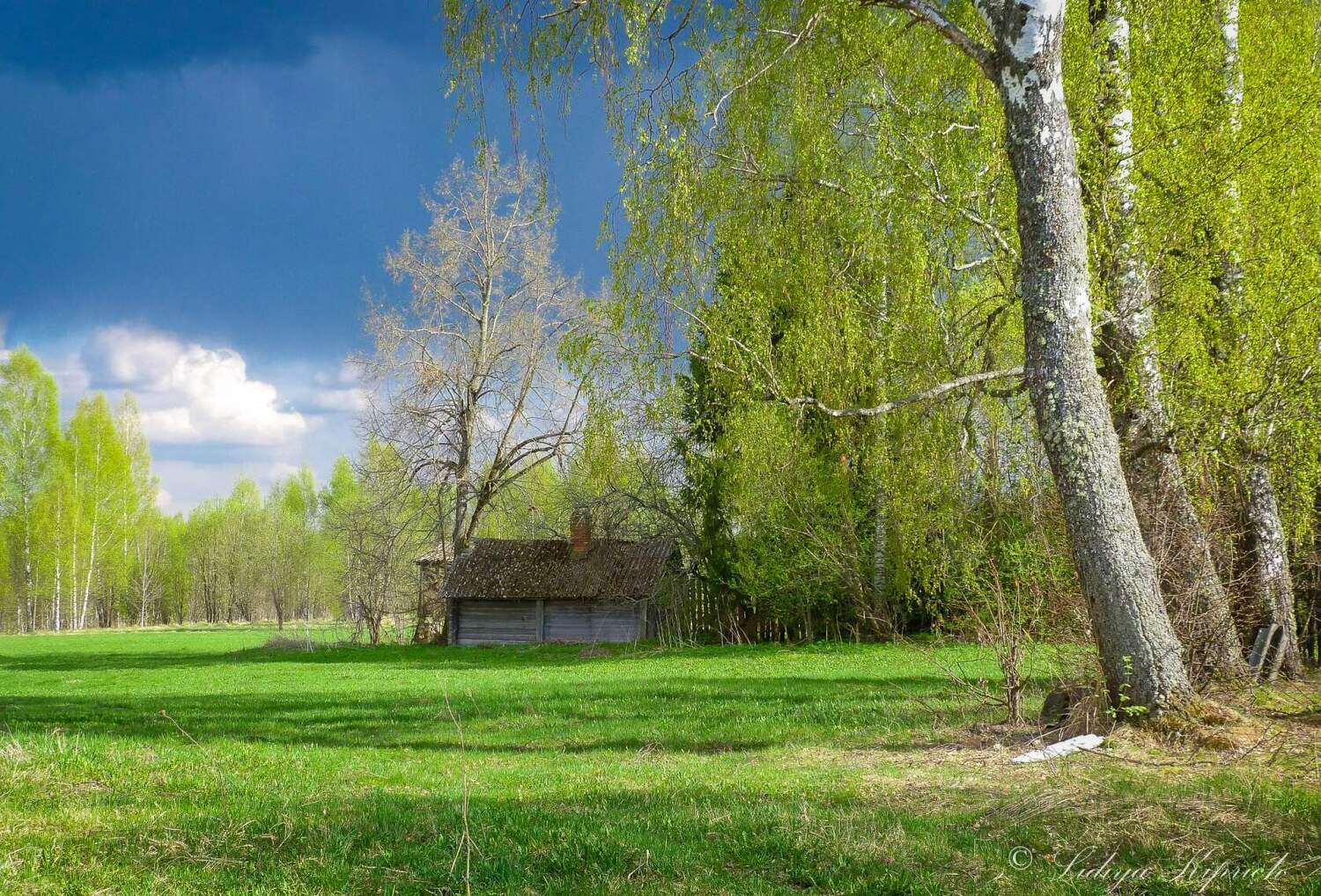 , Лидия Киприч