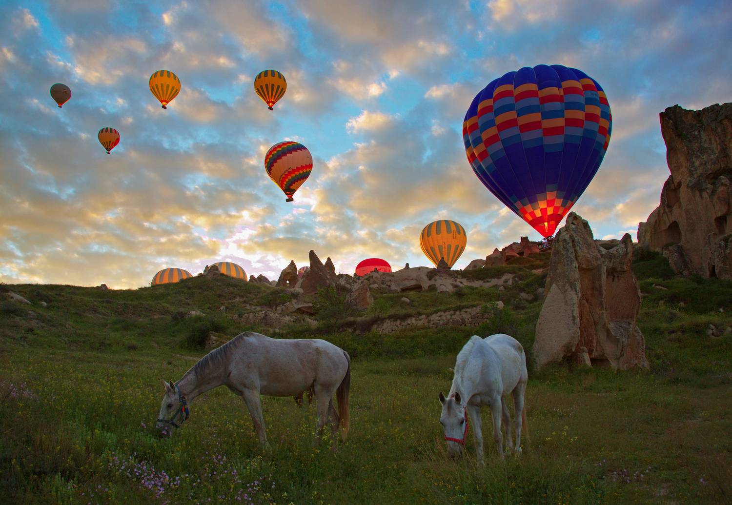 тучи облака пейзаж  деревья лошади воздушные шары рассвет, Мурзинов Виктор