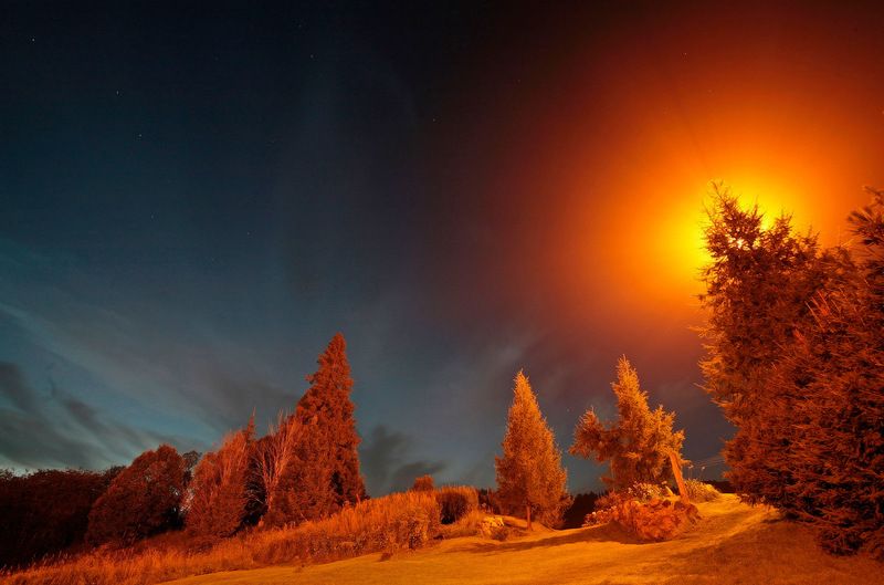 Про Natrium, Н2O, Большую Медведицу,, а так же про  перо Жар-птицы. фото превью