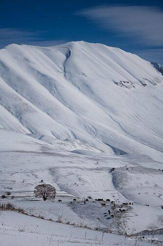 A light snowfall at Castelluccio
