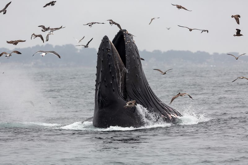 Breath of Air фото превью