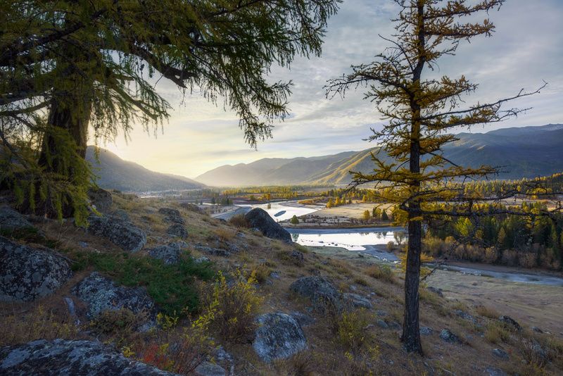 осенним утром фото превью