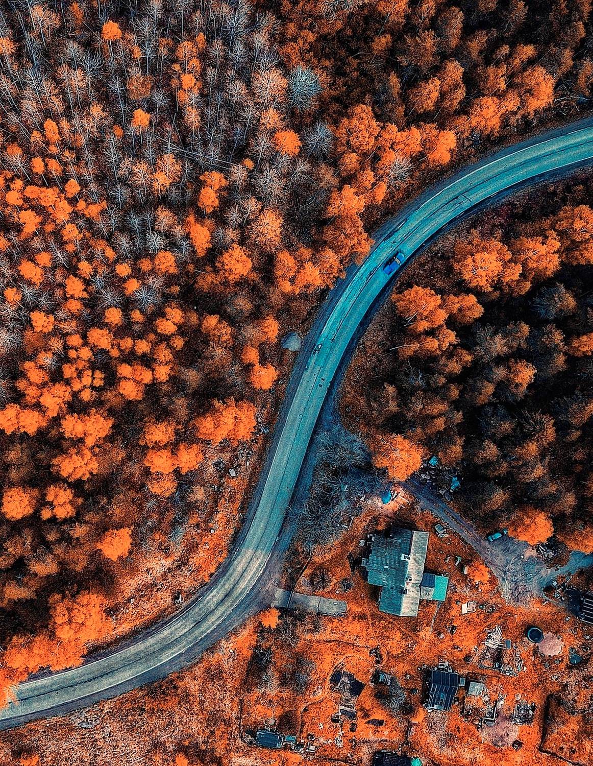 , Павел Жданов