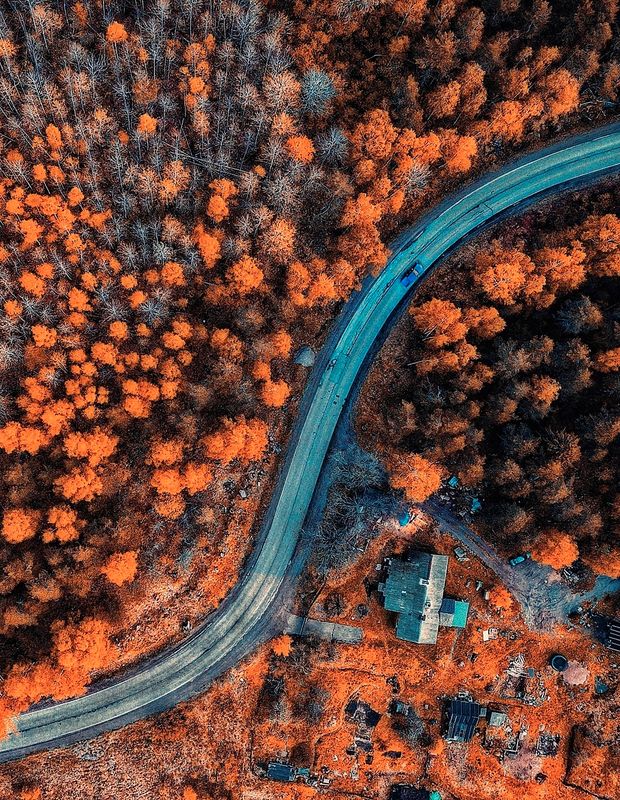 Воспоминания об осени. фото превью