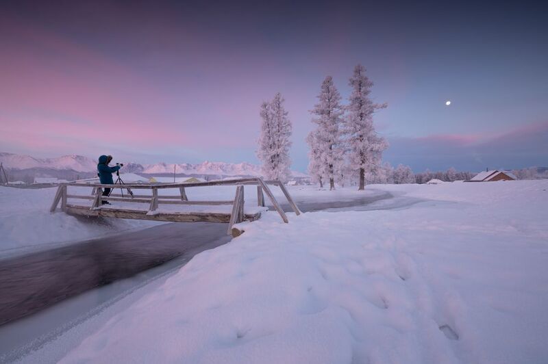 Курай фото превью