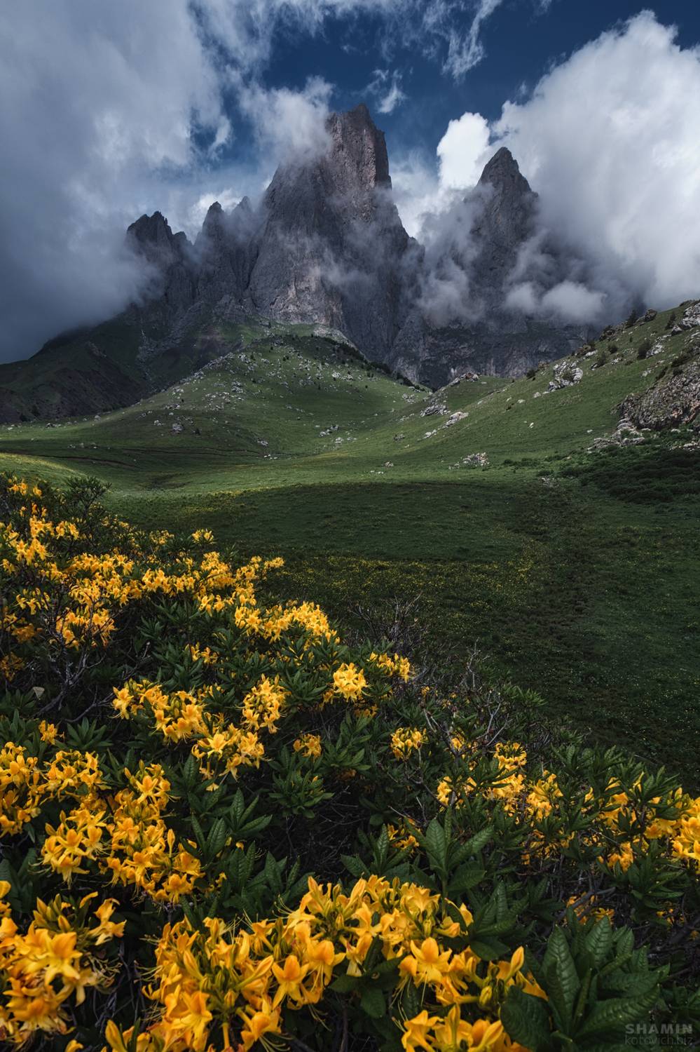 , Константин Шамин