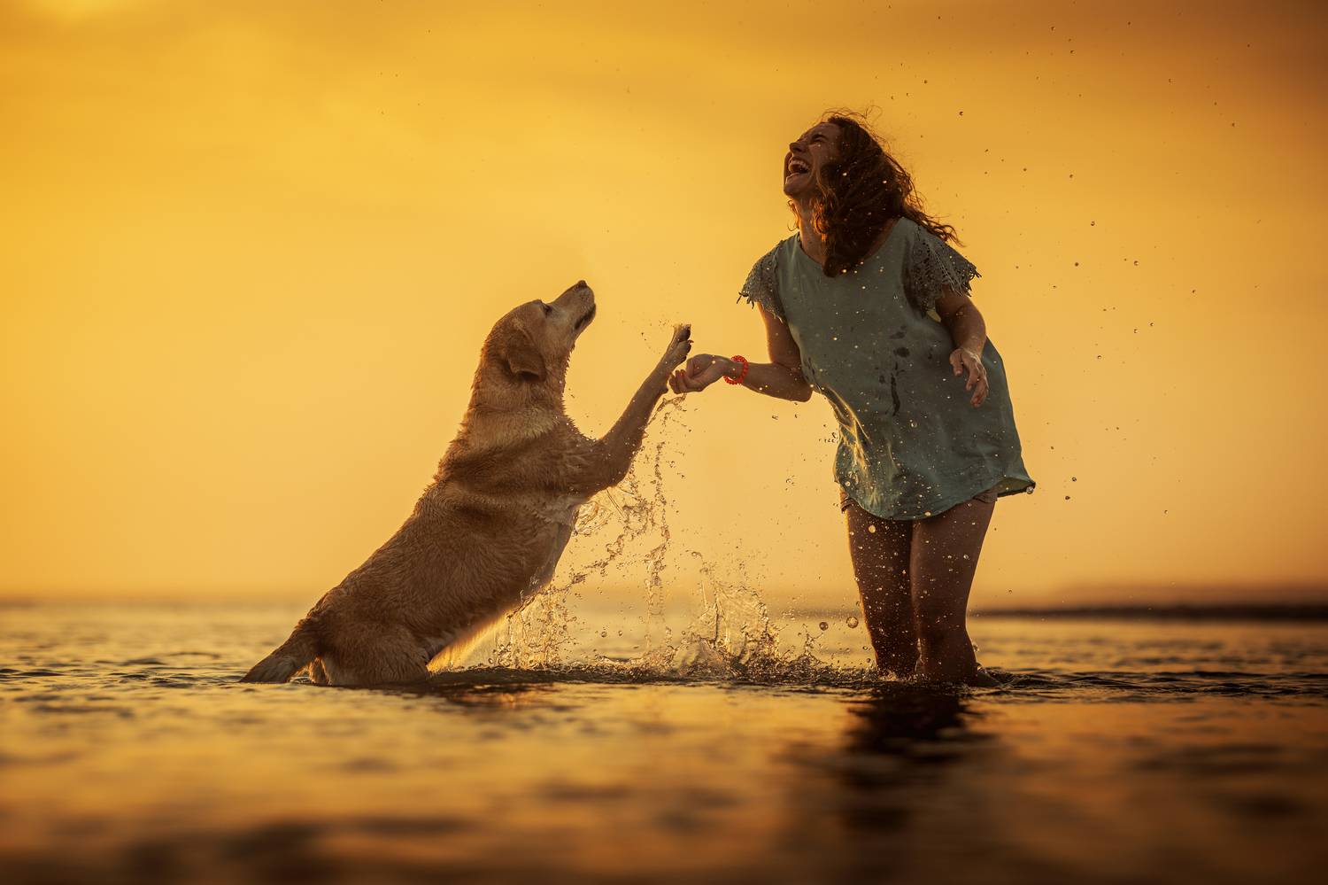 Photography,dogs,pets,animal,woman,girl,sunset,beach,summer,water,labrador,retriever,happy,friendship,warm,colors,outdoor,natural light, Alexandre Marques