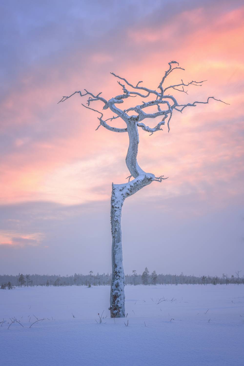 , Евдокимов Максим