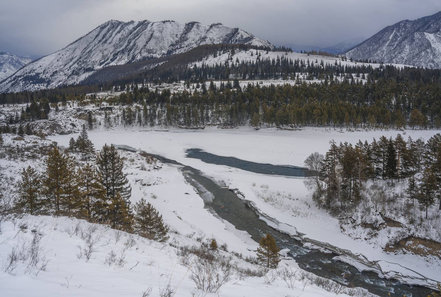 россия, горный алтай, две реки, слияние, зима, январь, Поляков Андрей