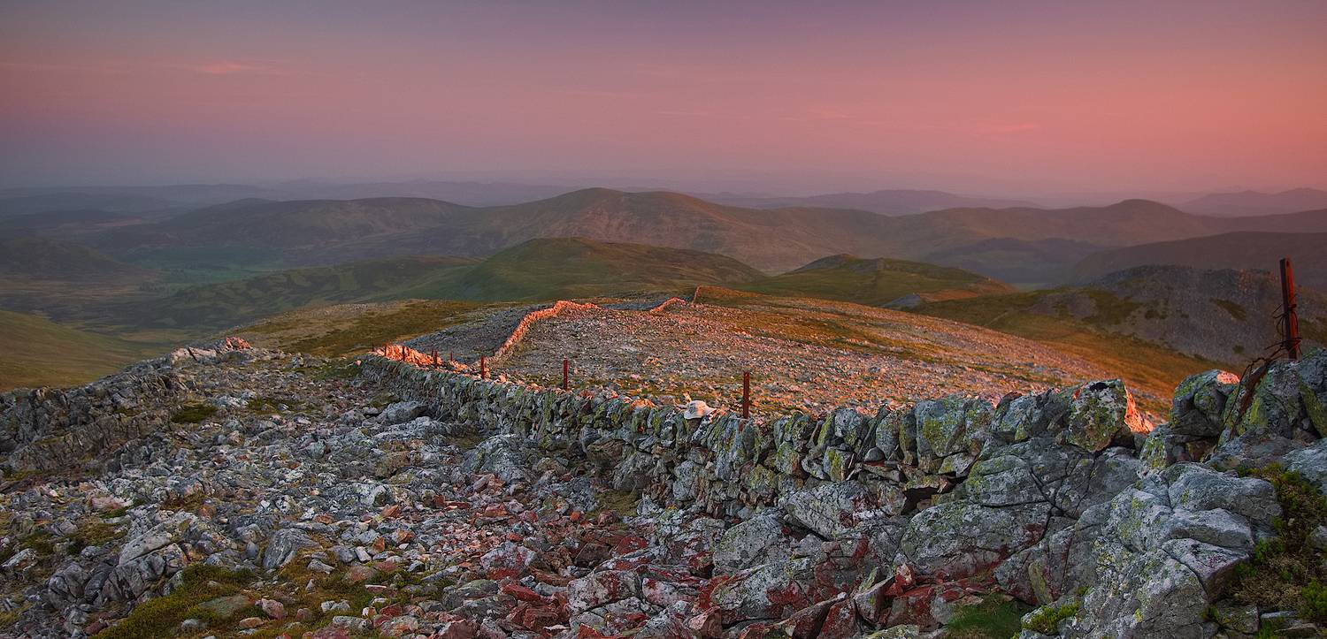 , Wojciech Tarnowski