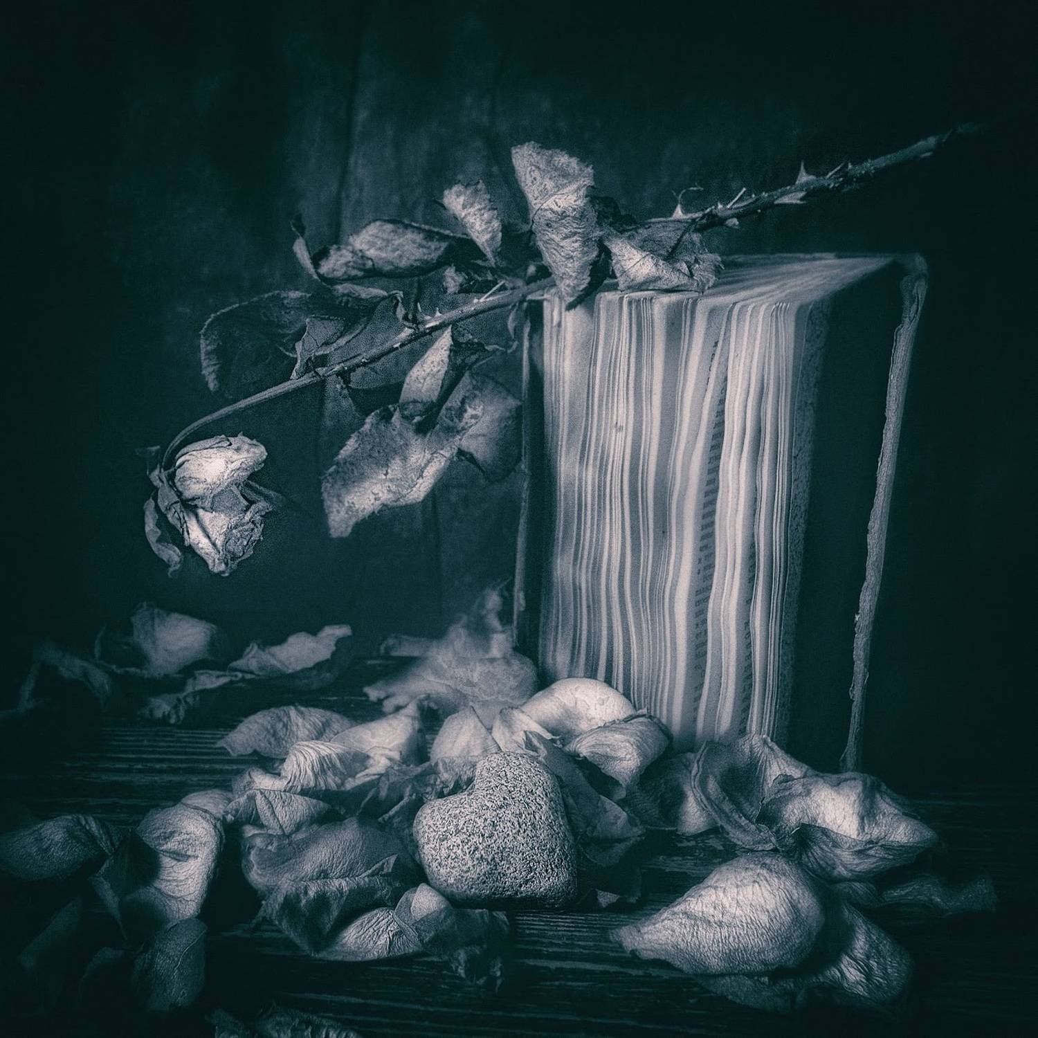 , Ирина Данилова