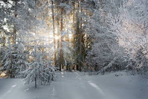 Настоящая зима