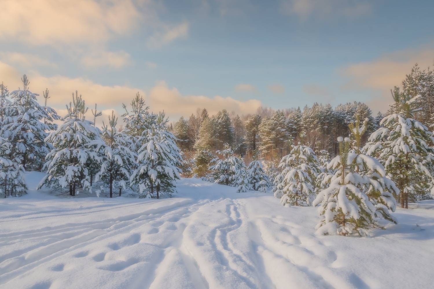 , Евгений Чикишев