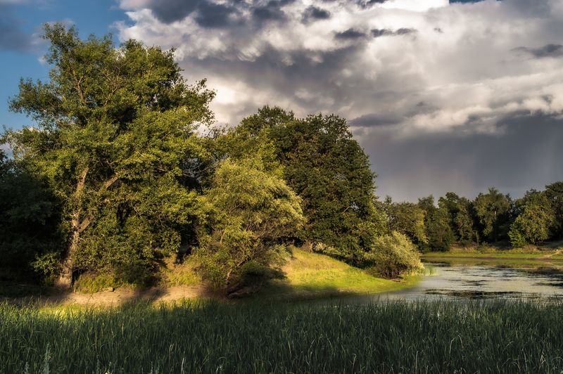 К дождю фото превью