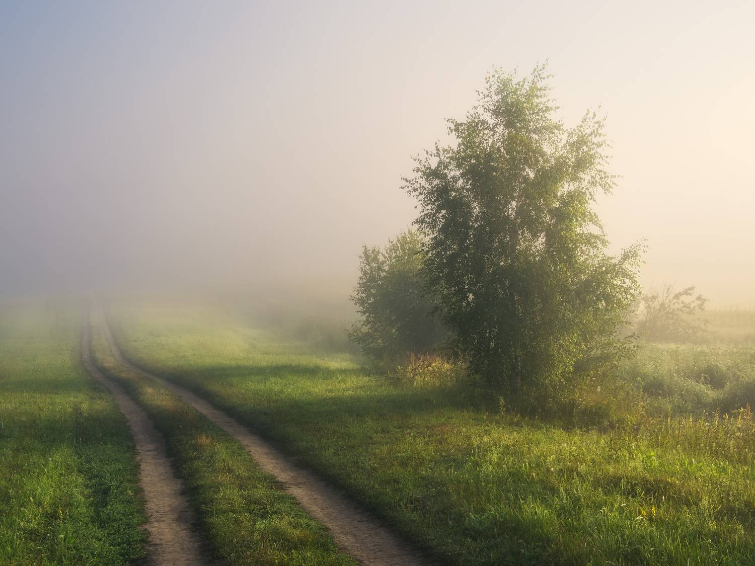 рассвет, поле, россия, туман, утро, дорога,  Алексей