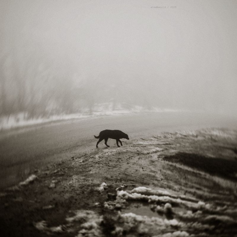 Untitled фото превью