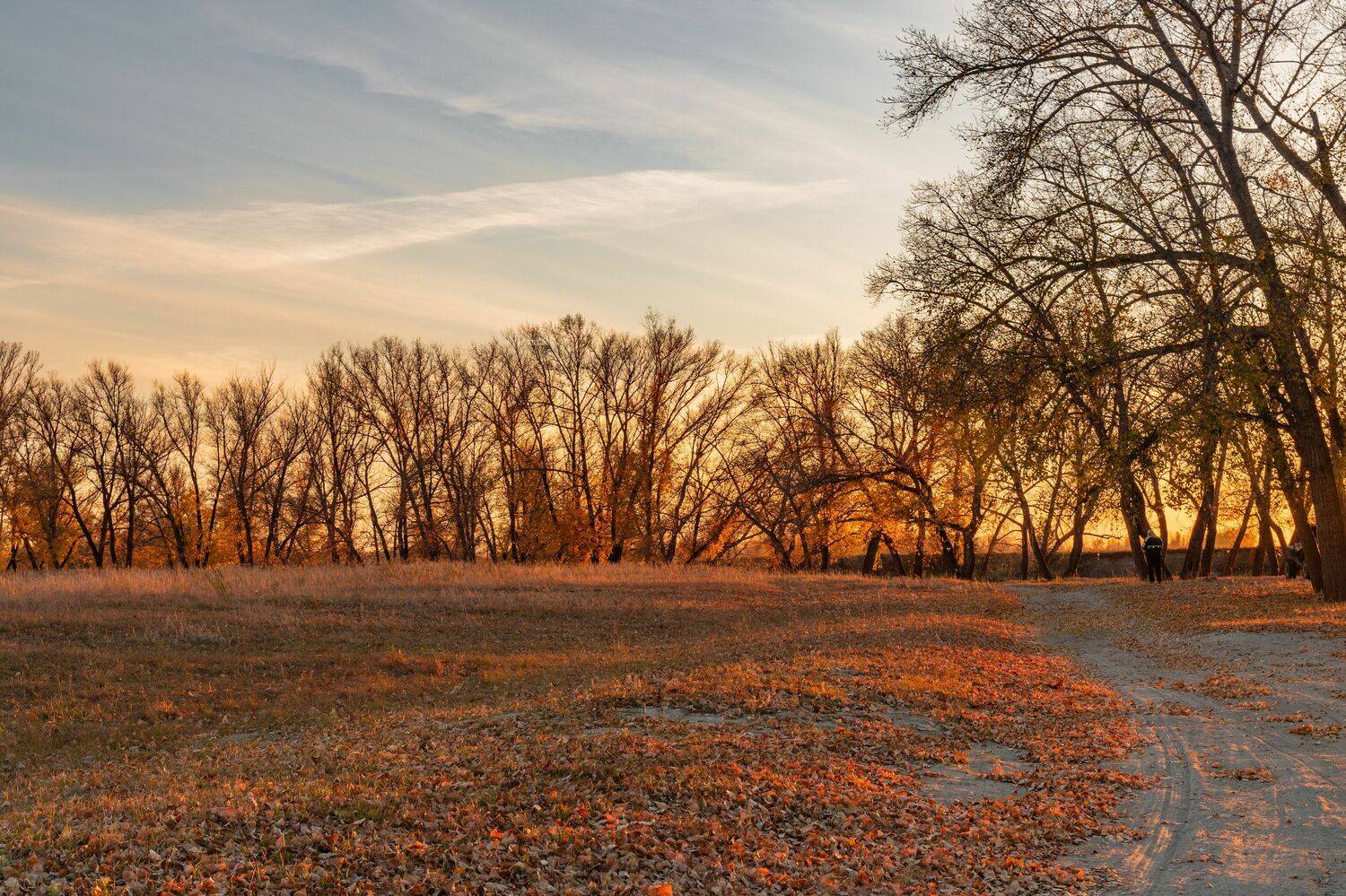 , Карамышева Дарья