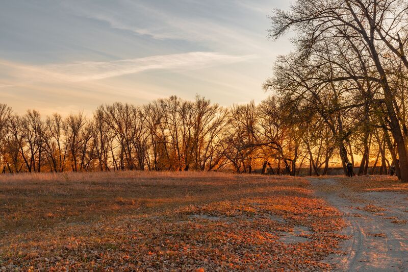 Стражи Тобола фото превью