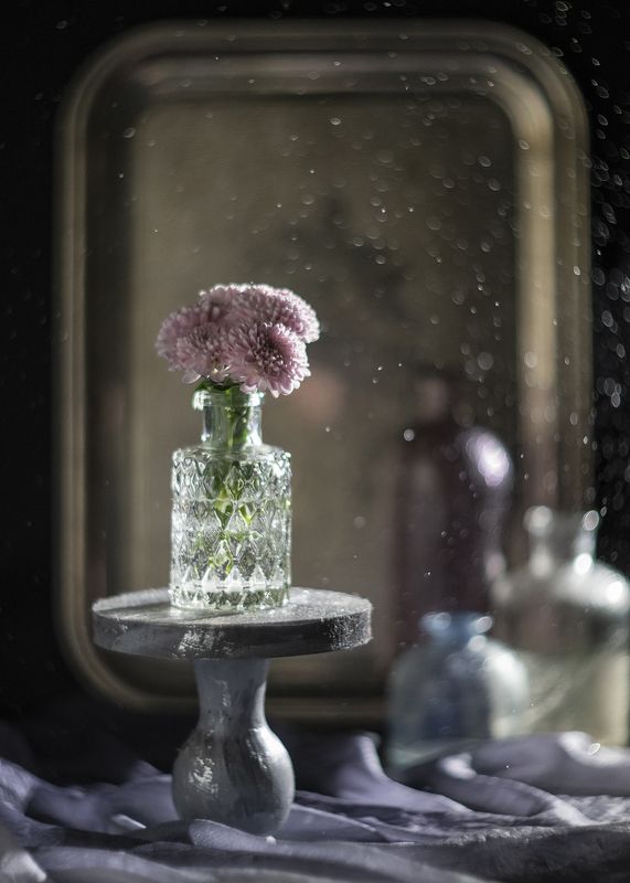 натюрморт боке хризантемы *** фото превью