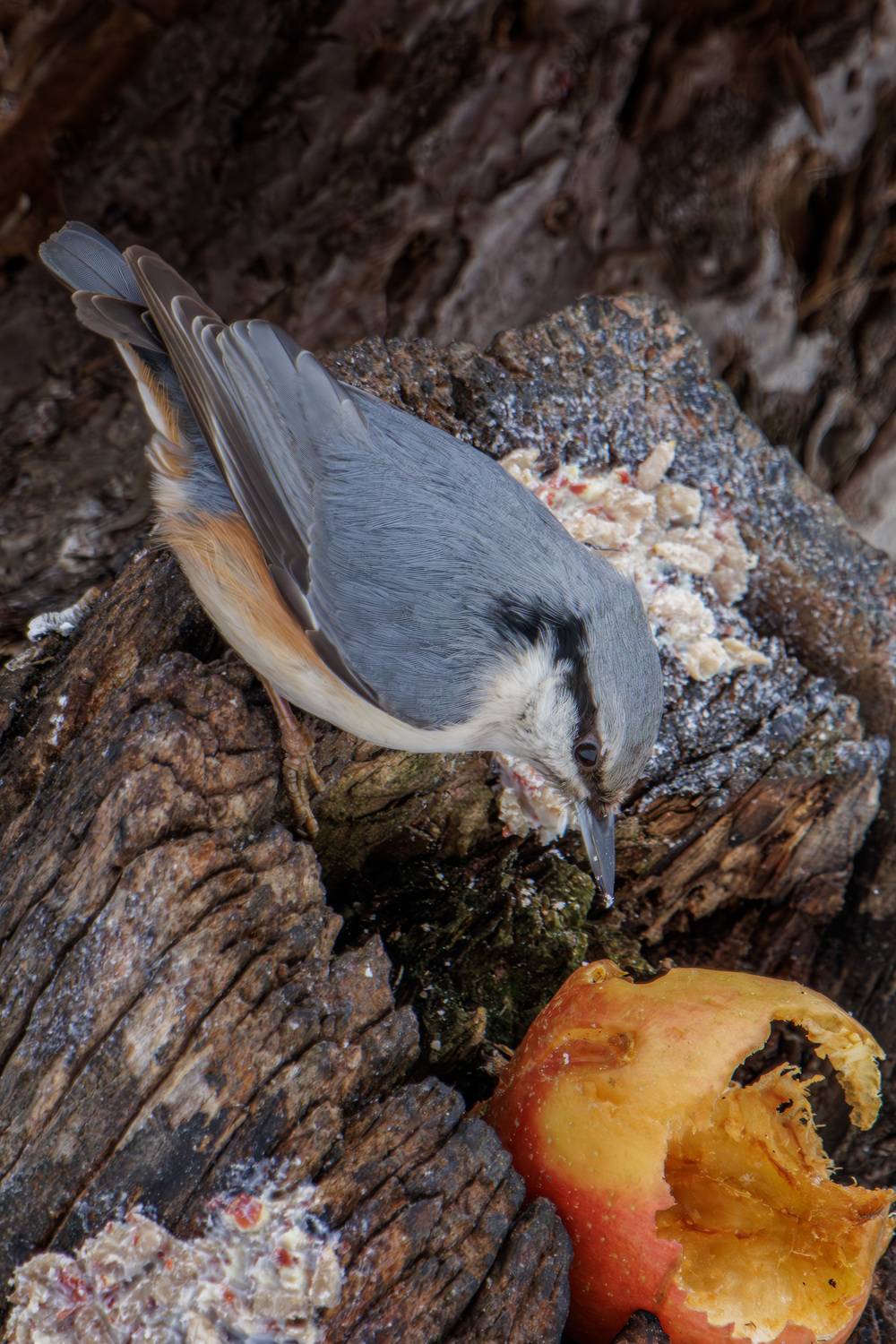 , Морозов Сергей
