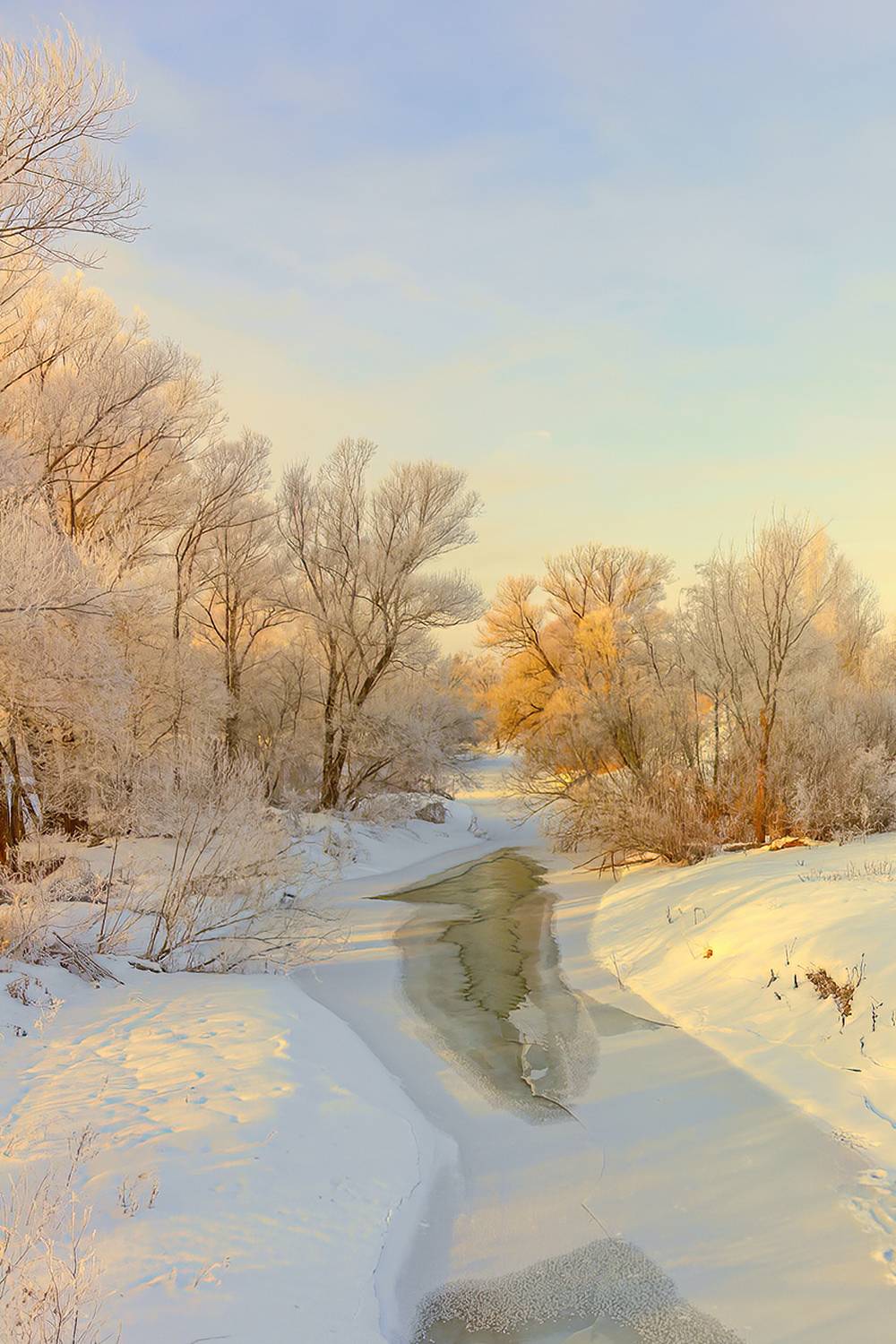 россия, подмосковье, природа, пейзаж, зима, снег, лед, солнце, река, деревья, небо, облака, дымка, туман, Юрий Спасенников