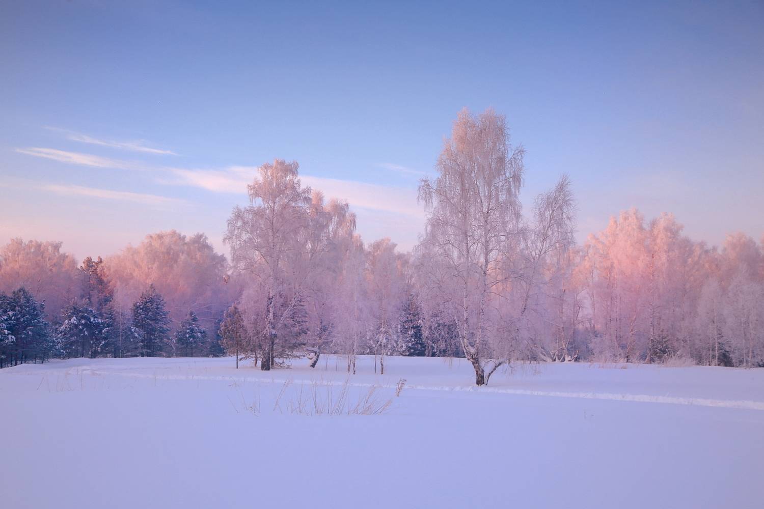 , Евгений Зинов