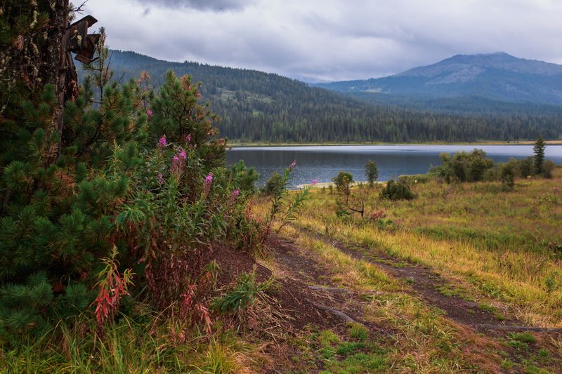 фото превью