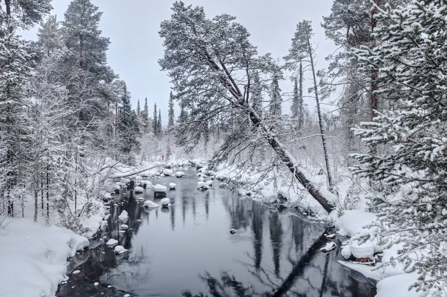 , Добролюбова Тамара