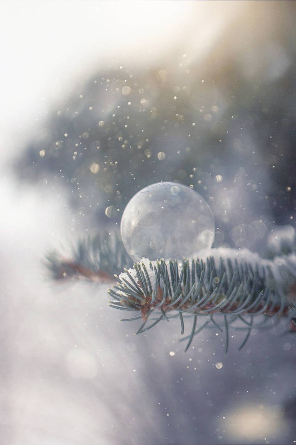 , Обидина Мария