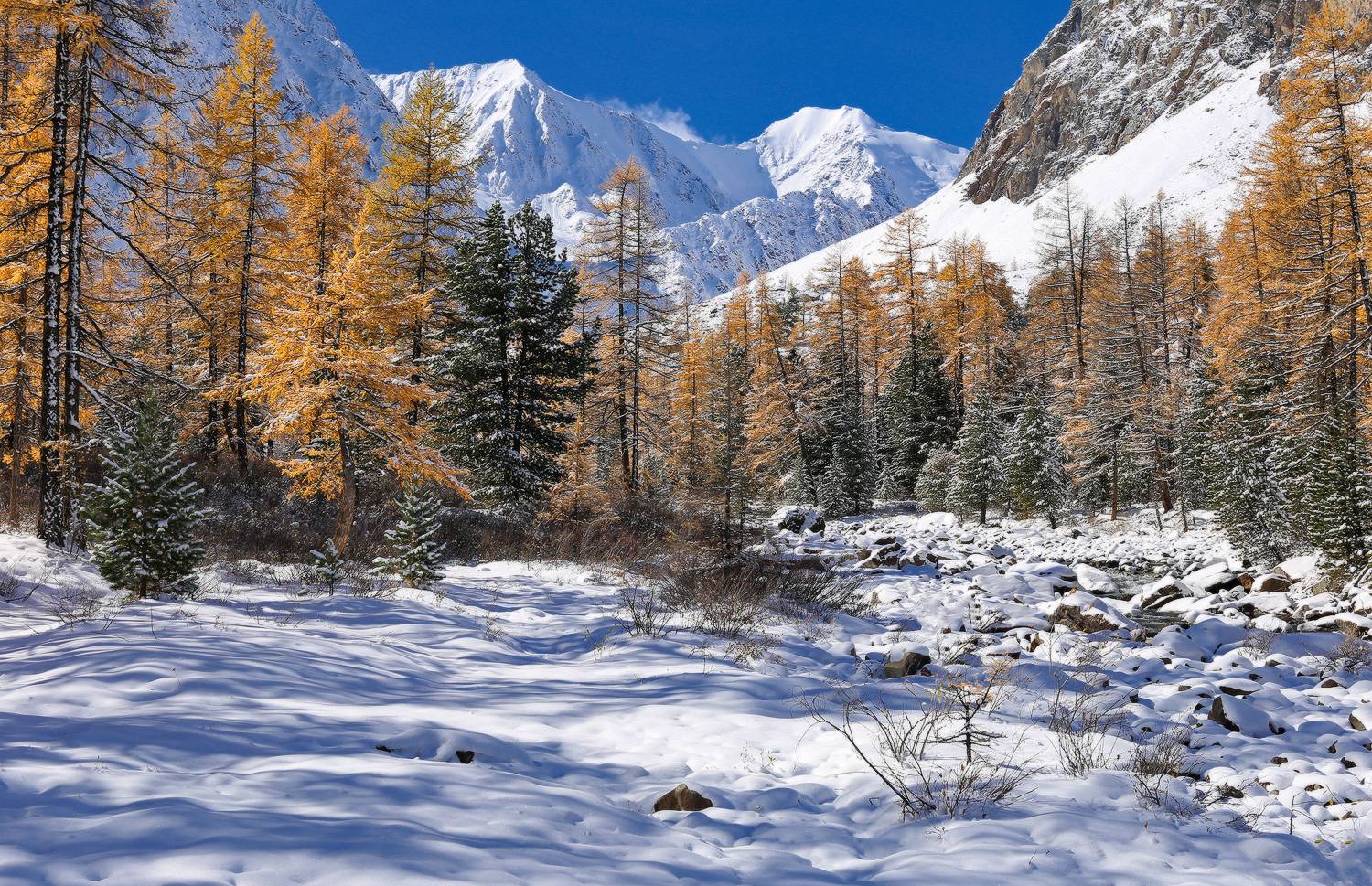 Алтай, Актру, Горный Алтай, Галина Хвостенко