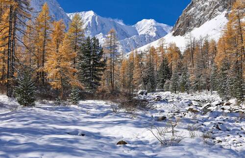 В ущелье Актру